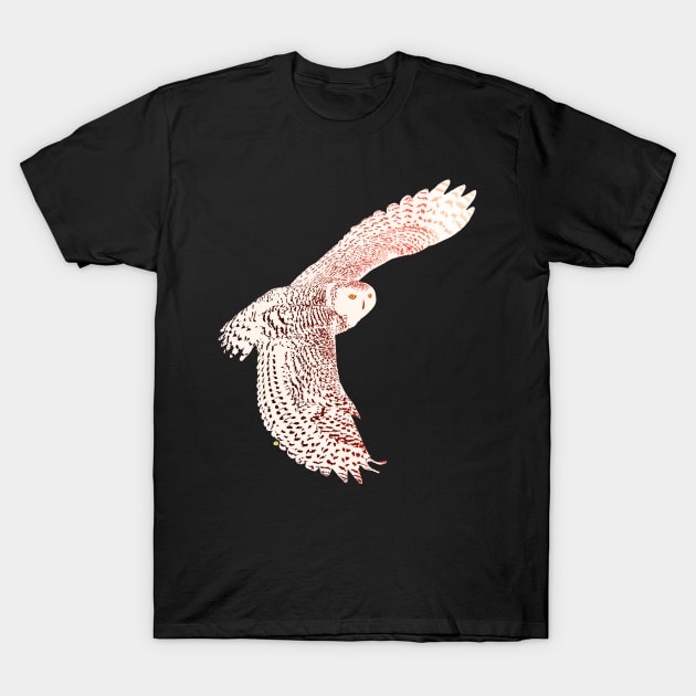 Snowy Owl T-Shirt by RobertBretonArt